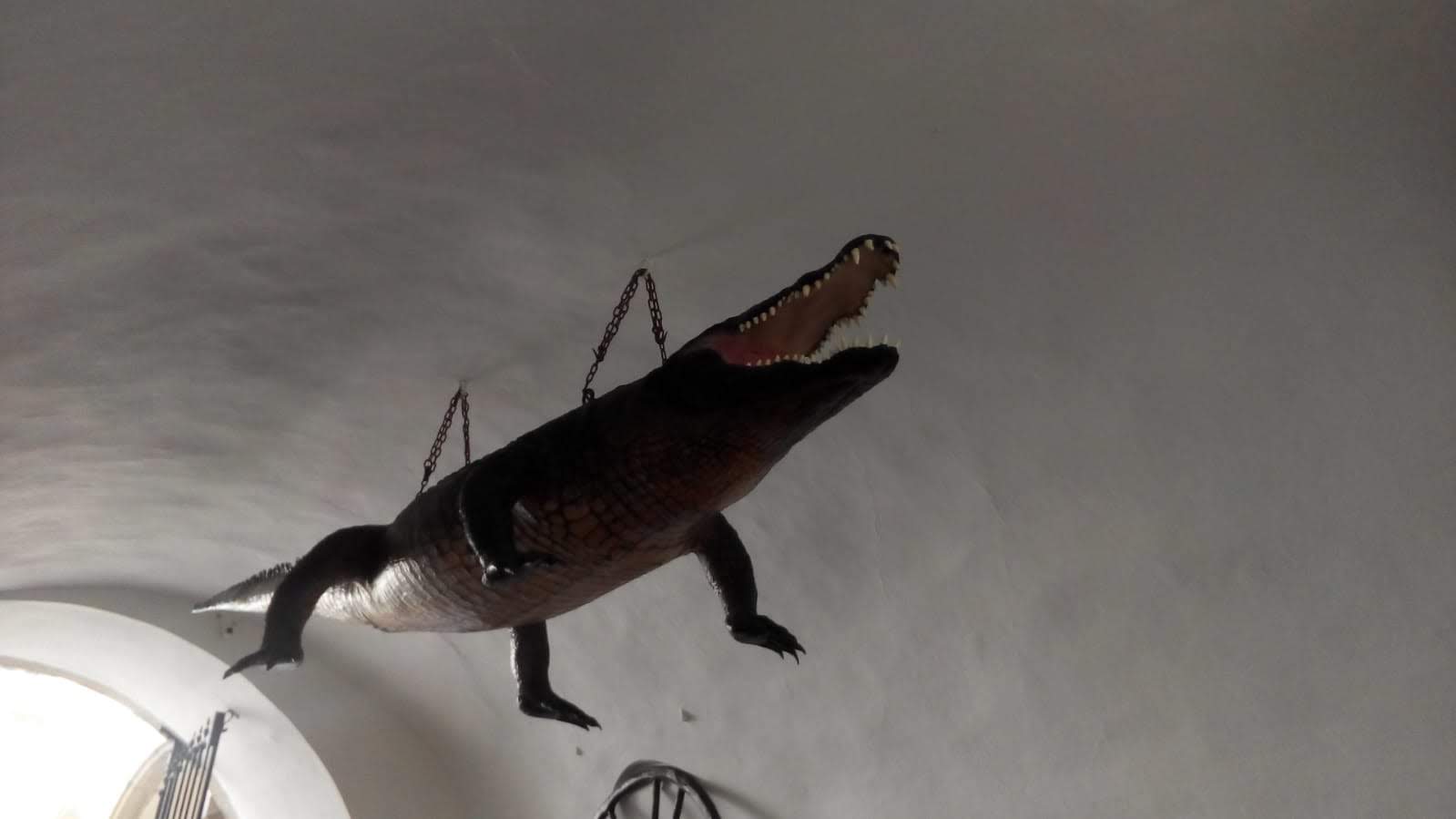 IMG-20190624-WA0012
